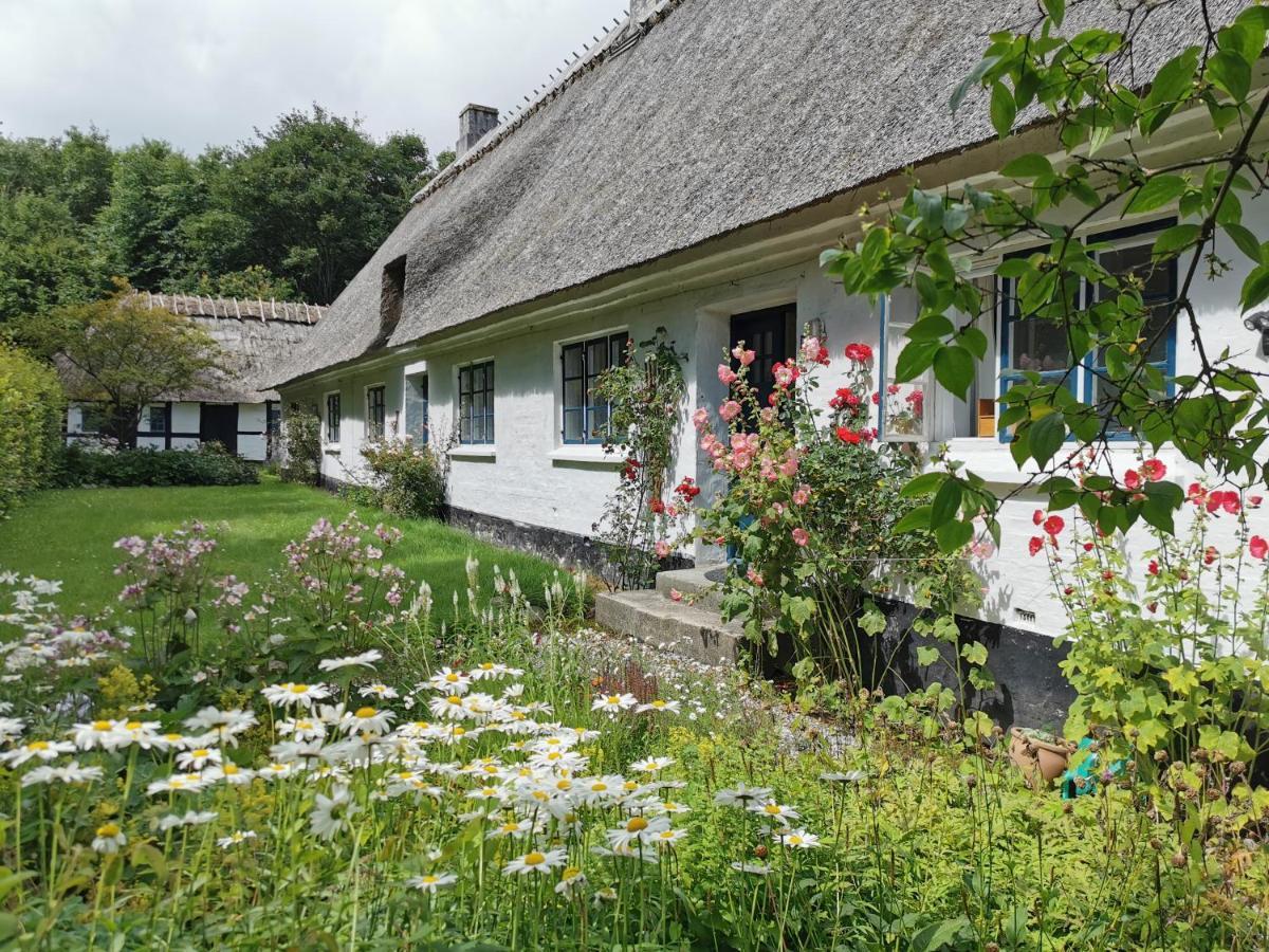 Plantepressen B&B Fåborg Eksteriør bilde