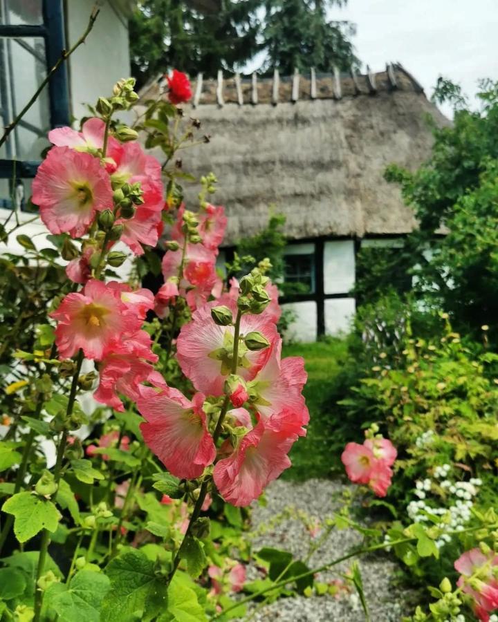 Plantepressen B&B Fåborg Eksteriør bilde